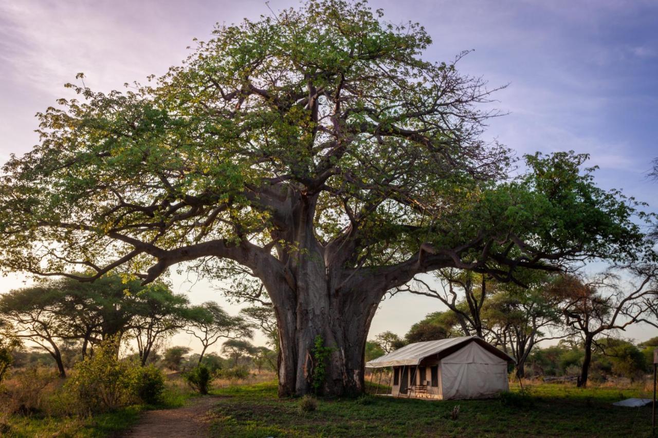 Baobab Tented Camp Kwa Kuchinia Eksteriør billede