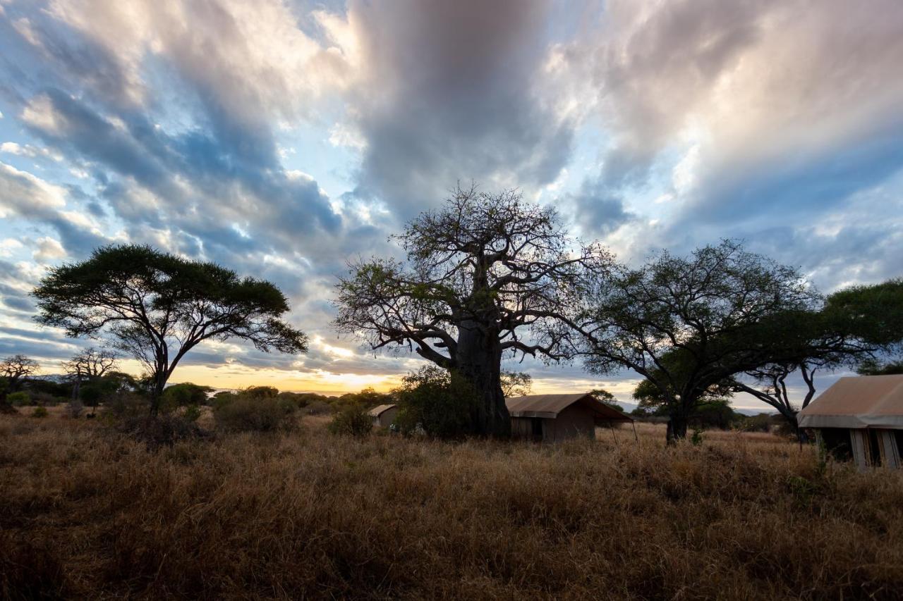 Baobab Tented Camp Kwa Kuchinia Eksteriør billede